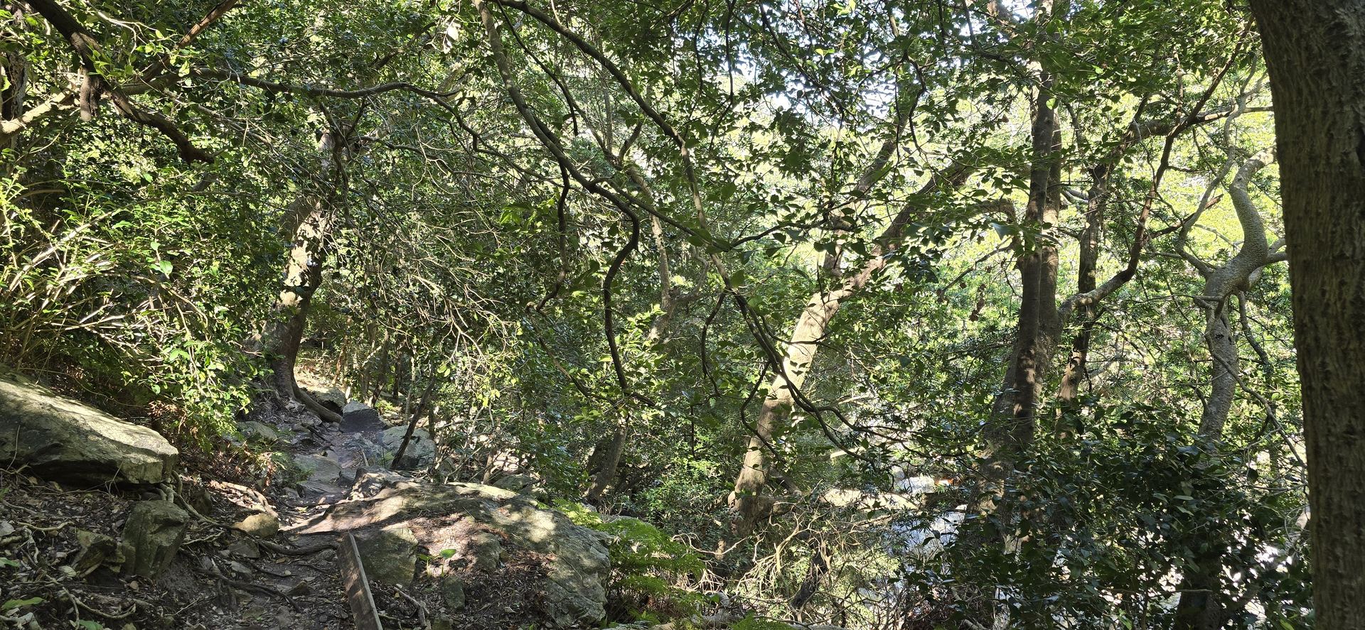 Leopards Kloof Photo 5